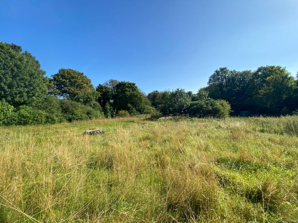 Lot: 9 - APPROXIMATELY FOUR ACRES OF LAND WITH FUTURE POTENTIAL - View of the land